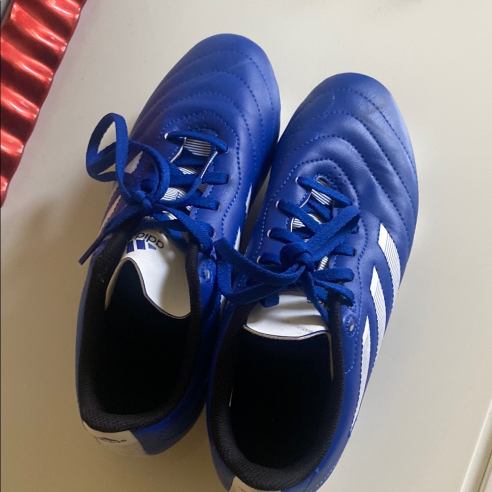 Adidas Blue and White Sneakers with Sleek Design